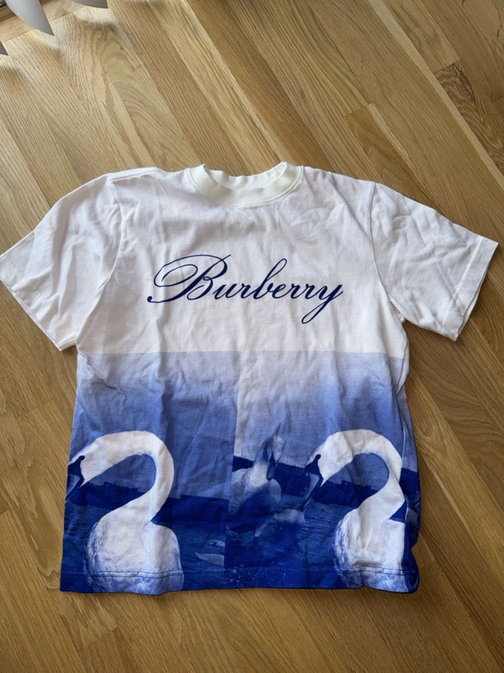 Burberry White and Blue Ombre Swan Graphic Tee